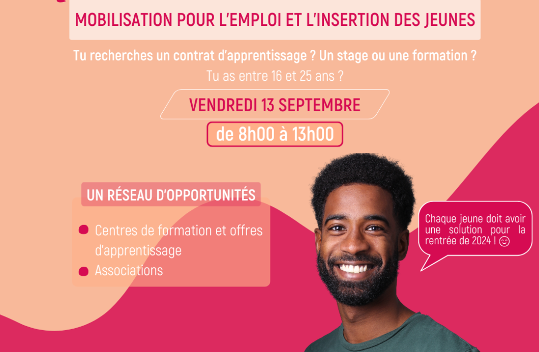 mobilisation pour l'emploi et l'insertion des jeunes copie